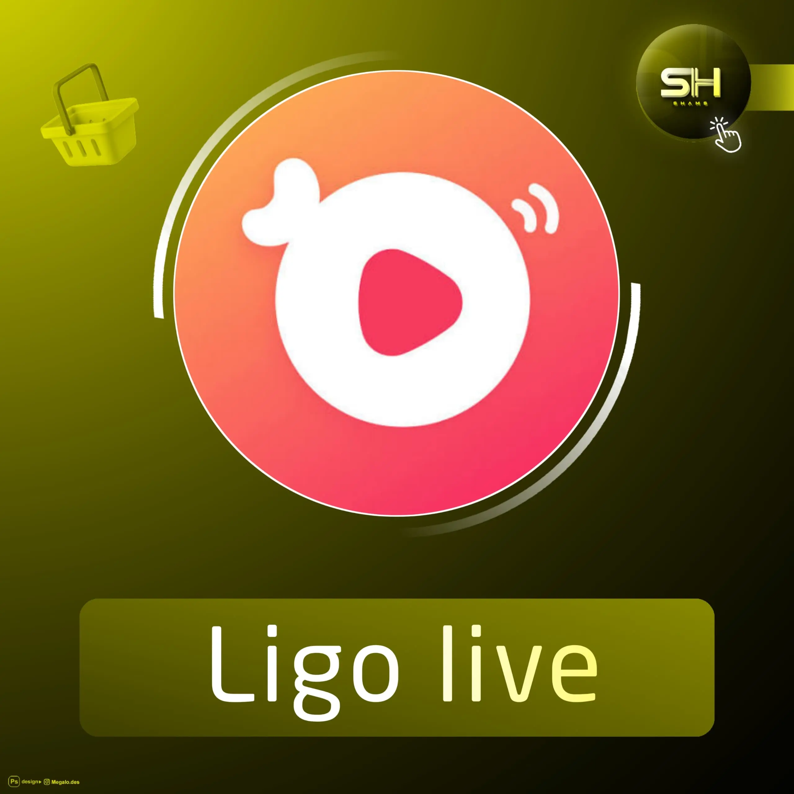Ligo live سيرفر 5