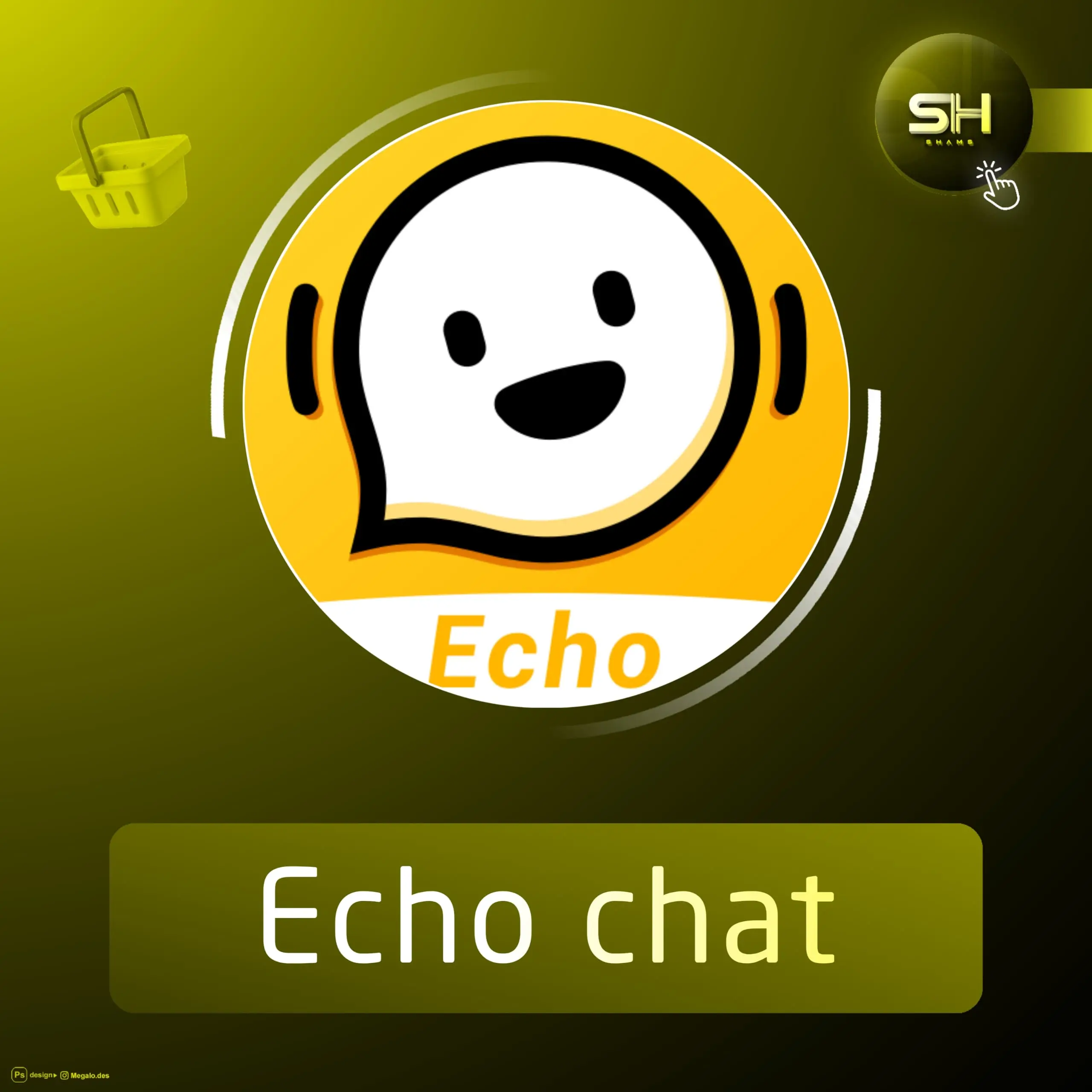 Echo chat سيرفر 3